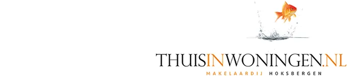 Thuisinwoningen.nl